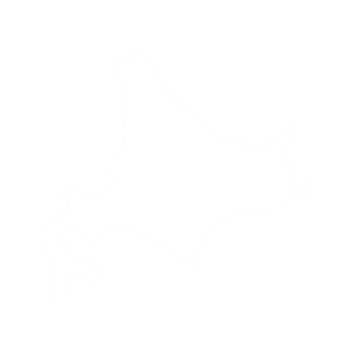 全道対応